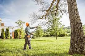 Professional Tree Removal and Landscaping Services in Kimberling City, MO